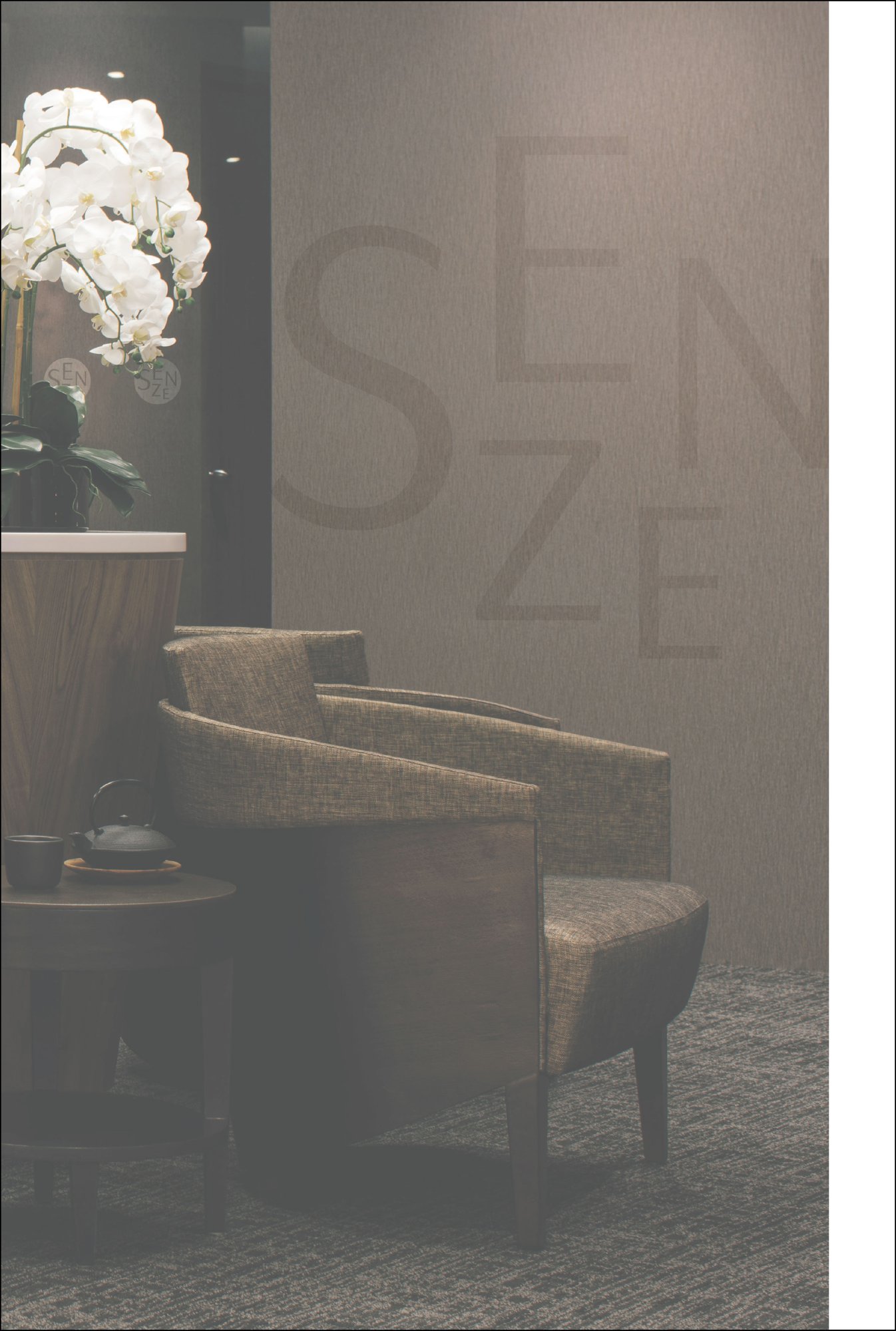 Image of Senze Salus