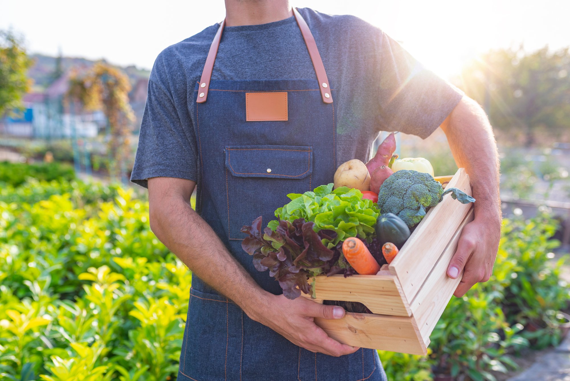 Image of Feeding the Future, Sustainable Foods: Are We Ready for the Future?