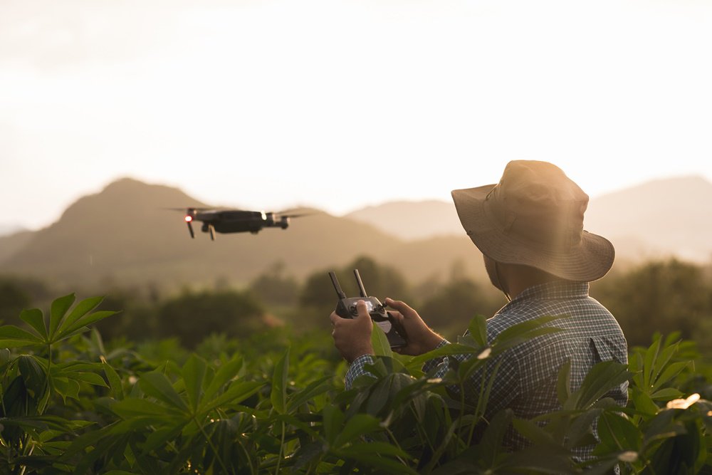 Image of Feeding the Future