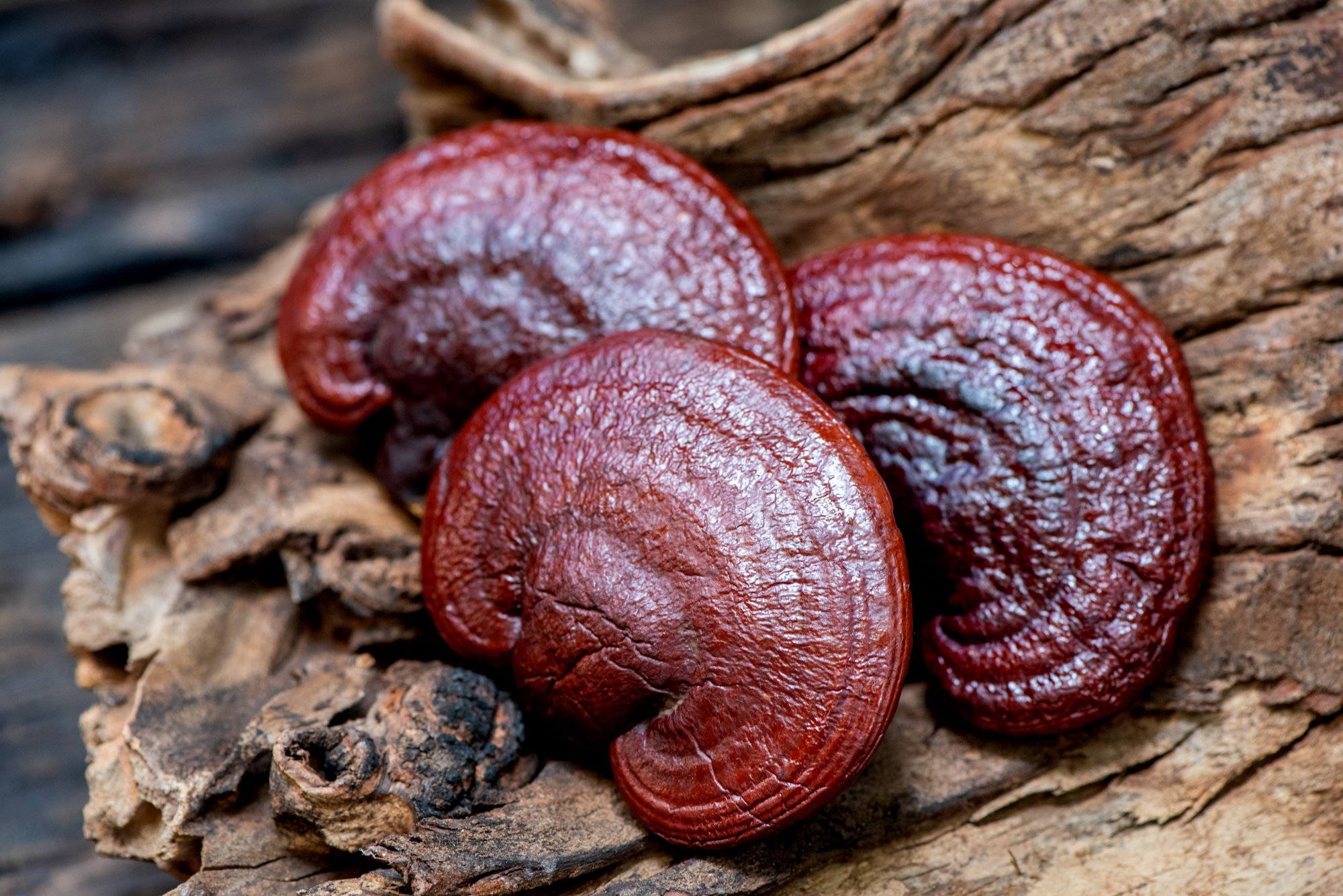 Image of Superfoods of Asia